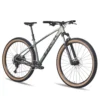 Bicicleta Trek Marlin 6 Shimano Cues U6000 10V. H. Rockshox Judy 29 (Liquen Mate/Verde Keswick Desvanecido)